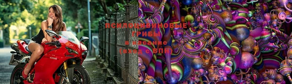 mdpv Майский