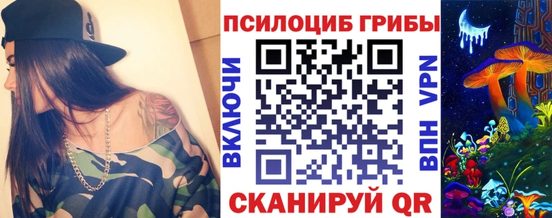 где купить наркоту  маркетплейс наркотические препараты  Псилоцибиновые грибы Psilocybine cubensis  Шилка 