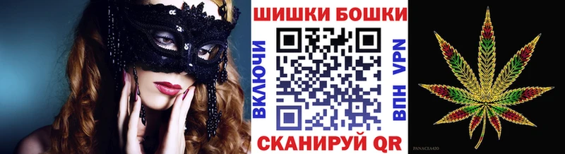 Каннабис сатива Шилка